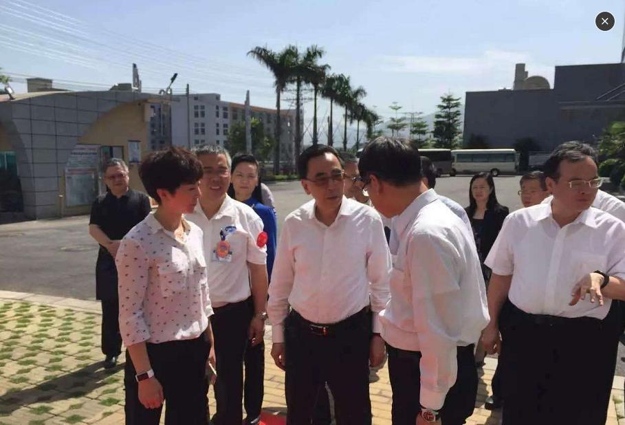 Deputy Secretary of Guangdong Provincial Party Committee, governor and other leaders visited Qingyuan Minhui for investigation